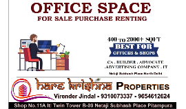 Netaji Subhash Place Pitampura Rohini For Sale Purchase Renting